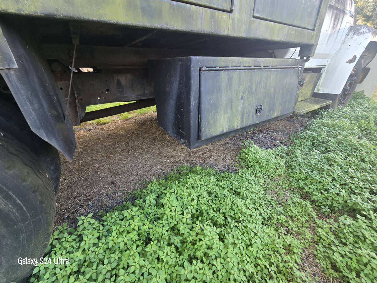 Ford-f600-diesel-1984-white-7