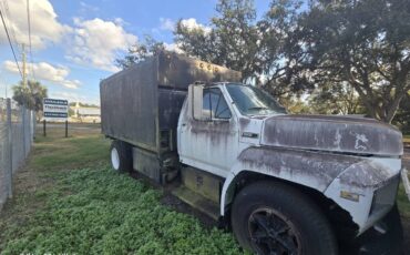 Ford-f600-diesel-1984-white-8