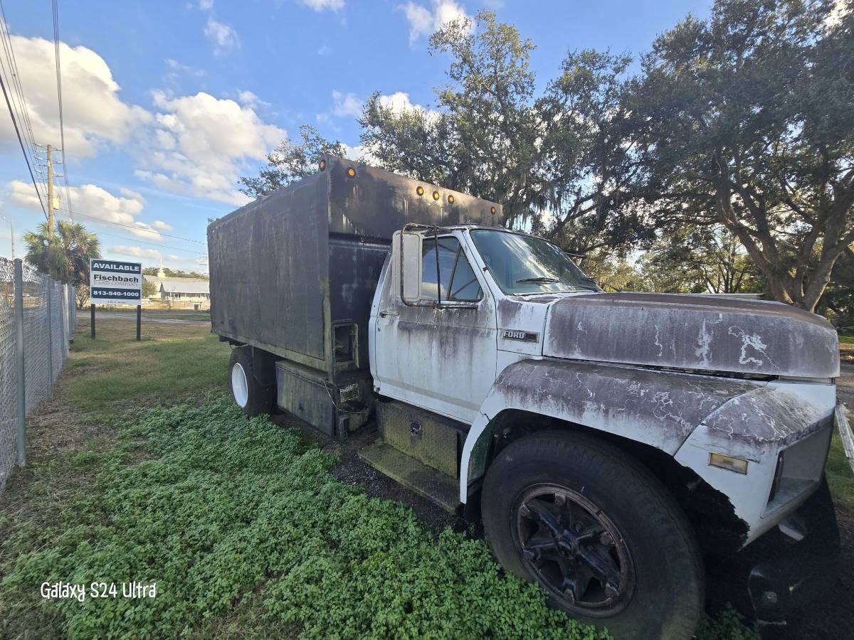 Ford-f600-diesel-1984-white-8