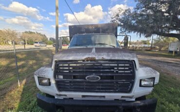 Ford-f600-diesel-1984-white-9