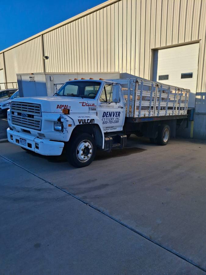 Ford-f600-diesel-1991-white-1