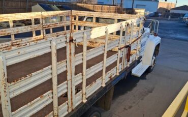 Ford-f600-diesel-1991-white-2