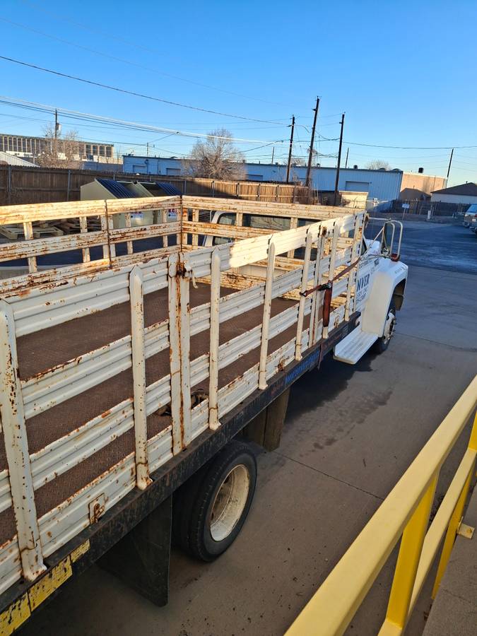 Ford-f600-diesel-1991-white-2