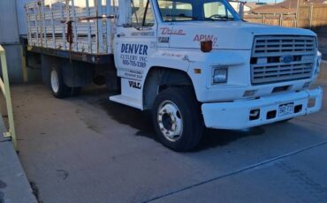 Ford-f600-diesel-1991-white