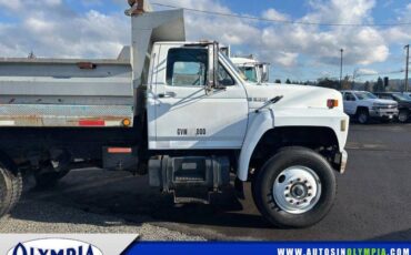 Ford-f800-diesels-powerstroke-1989-white-6