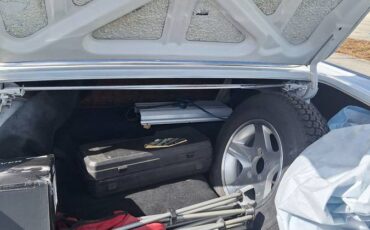 Ford-fairlane-500-1959-green-7