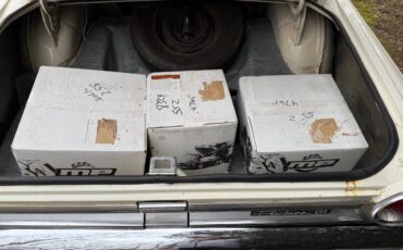 Ford-fairlane-500-1964-white-4