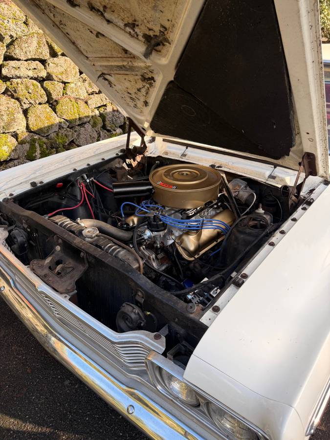 Ford-fairlane-500-1965-white-3