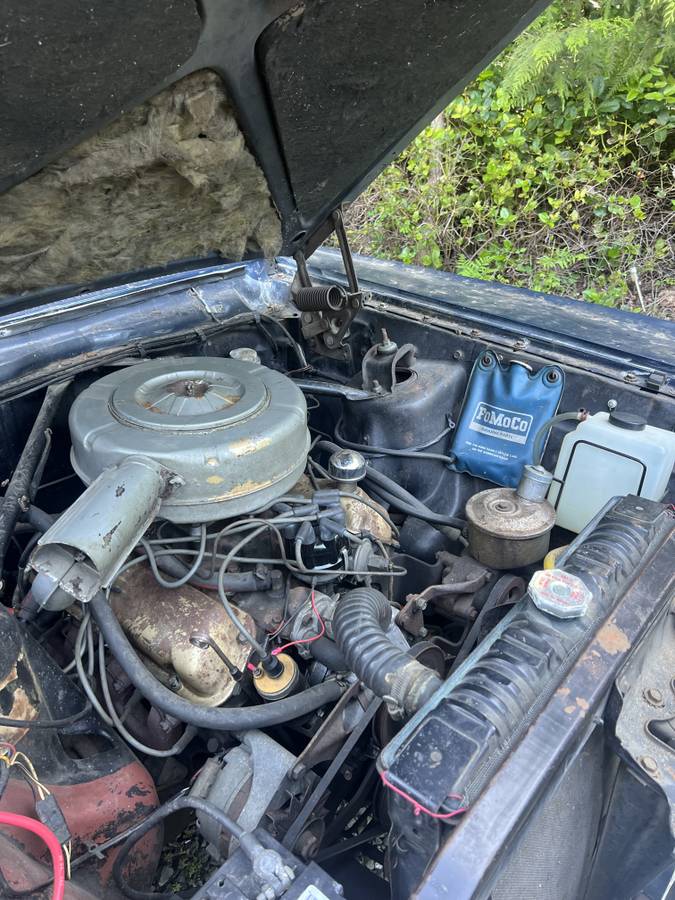 Ford-fairlane-500-coupe-1965-blue-5