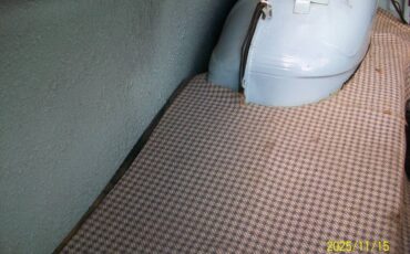 Ford-galaxie-1959-12