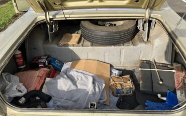 Ford-galaxie-500-1965-green-12