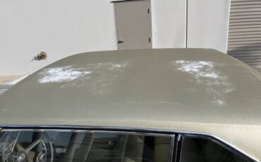 Ford-galaxie-500-1965-green-21