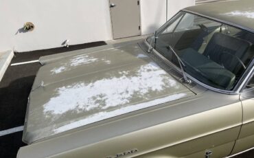 Ford-galaxie-500-1965-green-22