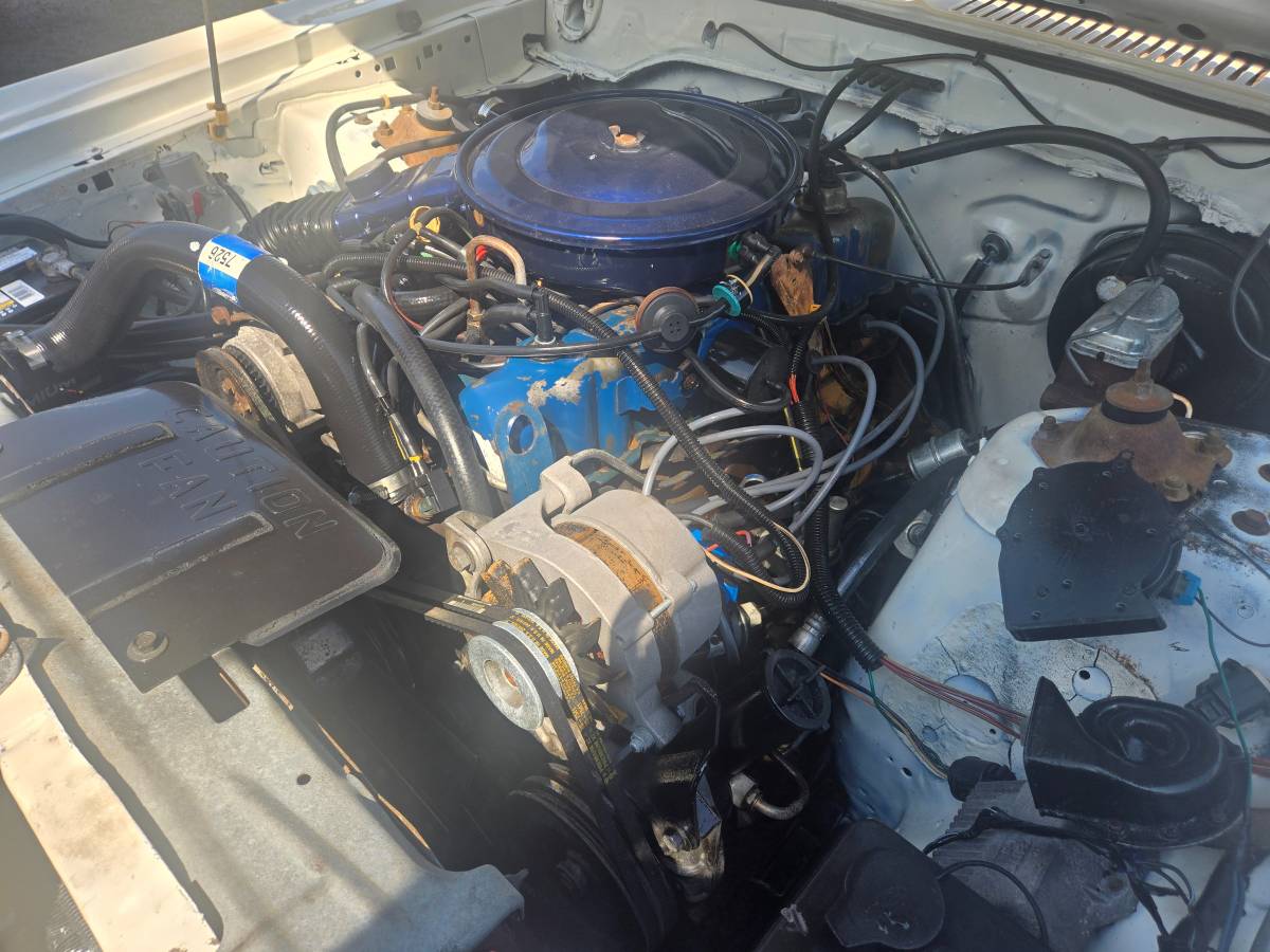 Ford-granada-1980-white-17