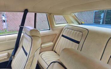 Ford-ltd-ii-1977-blue-2