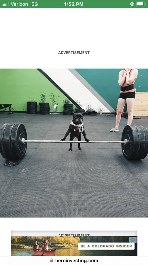 Ford-mustang-1966-blue-2