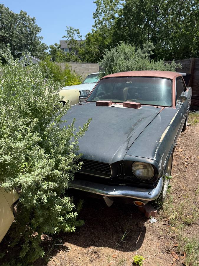 Ford-mustang-1966-green-2