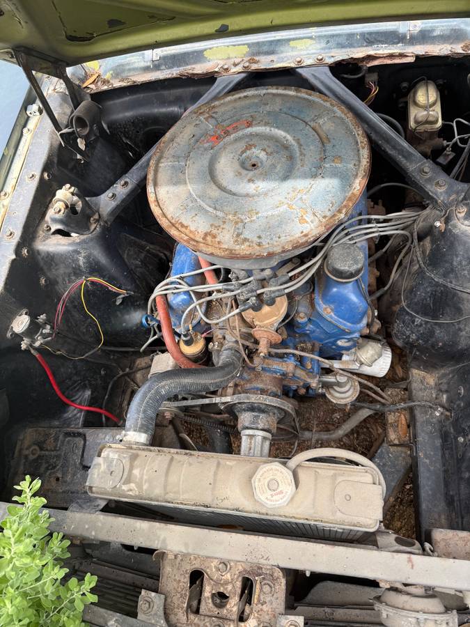 Ford-mustang-1966-green-5