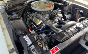 Ford-mustang-1967-green-6