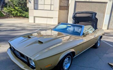 Ford-mustang-1973-custom-6