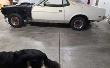 Ford-mustang-1973-white-2