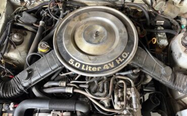 Ford-mustang-1983-white-6