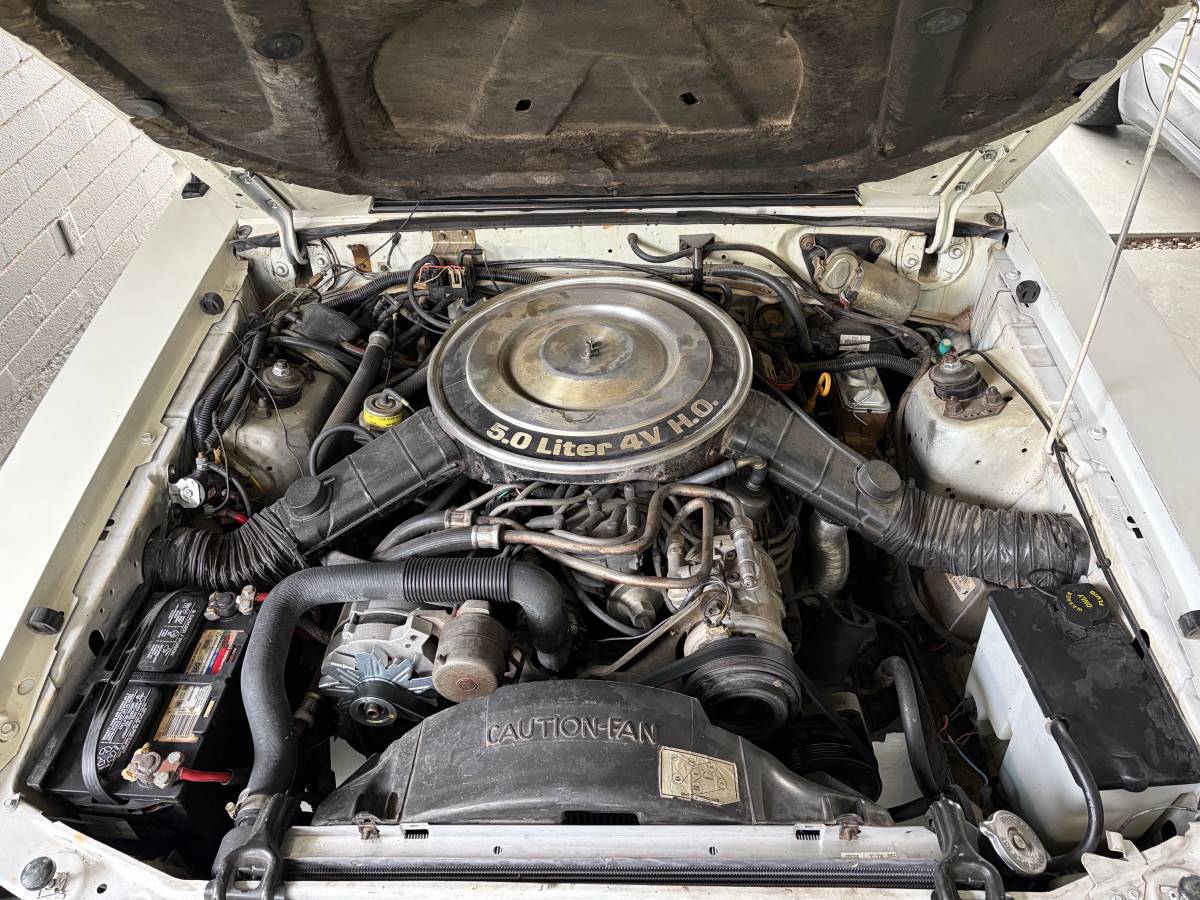 Ford-mustang-1983-white-7