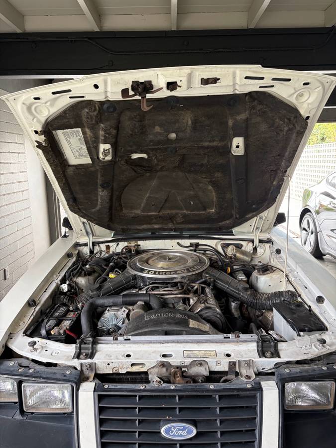 Ford-mustang-1983-white-8