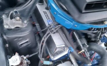 Ford-mustang-boss-302-tribute-1970-blue-18
