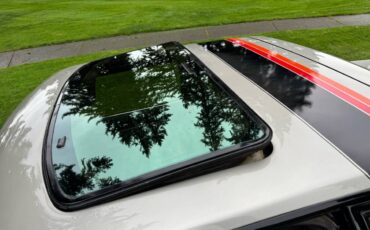 Ford-mustang-gt-1979-grey-19