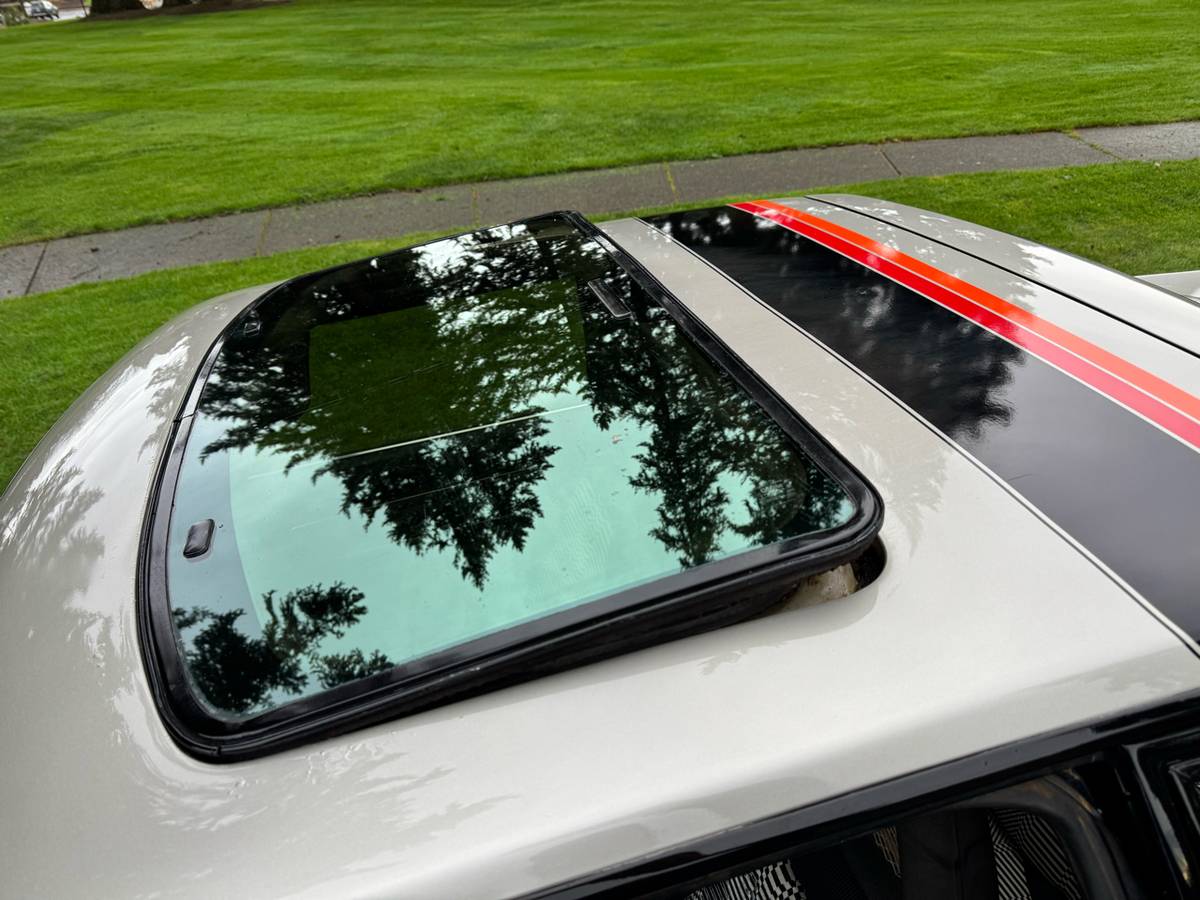 Ford-mustang-gt-1979-grey-19