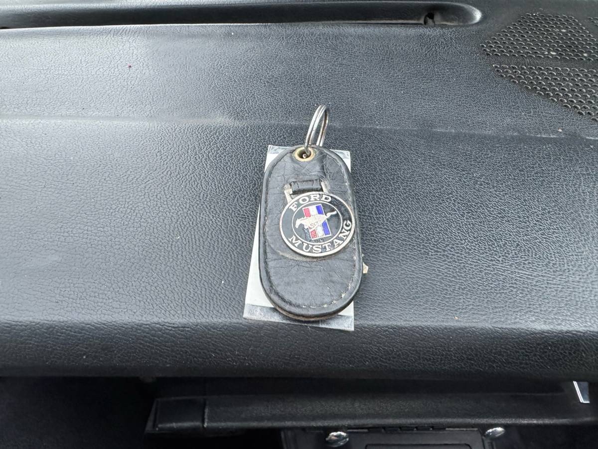 Ford-mustang-gt-1979-grey-5