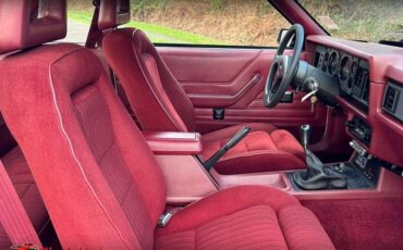 Ford-mustang-gt-350-1984-13