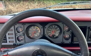 Ford-mustang-gt-350-1984-15