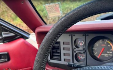 Ford-mustang-gt-350-1984-16