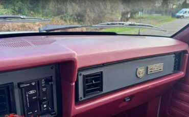 Ford-mustang-gt-350-1984-18