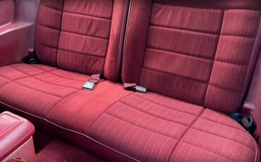 Ford-mustang-gt-350-1984-2