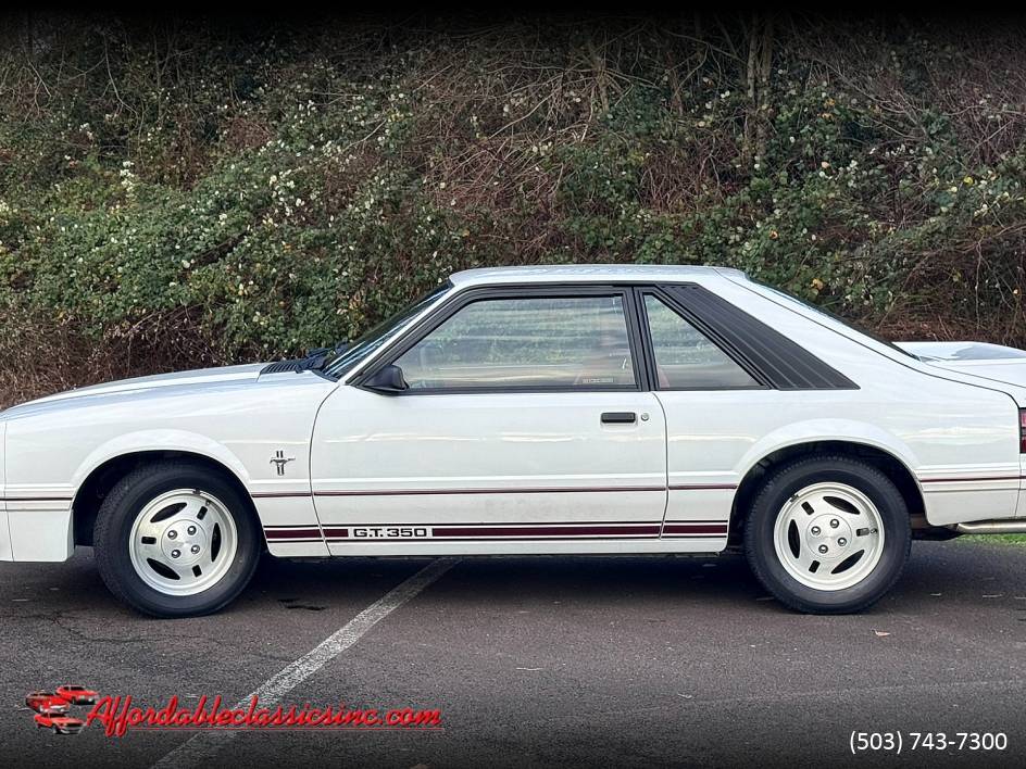 Ford-mustang-gt-350-1984-3