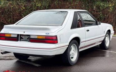 Ford-mustang-gt-350-1984-6