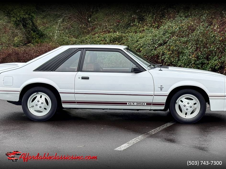 Ford-mustang-gt-350-1984-7