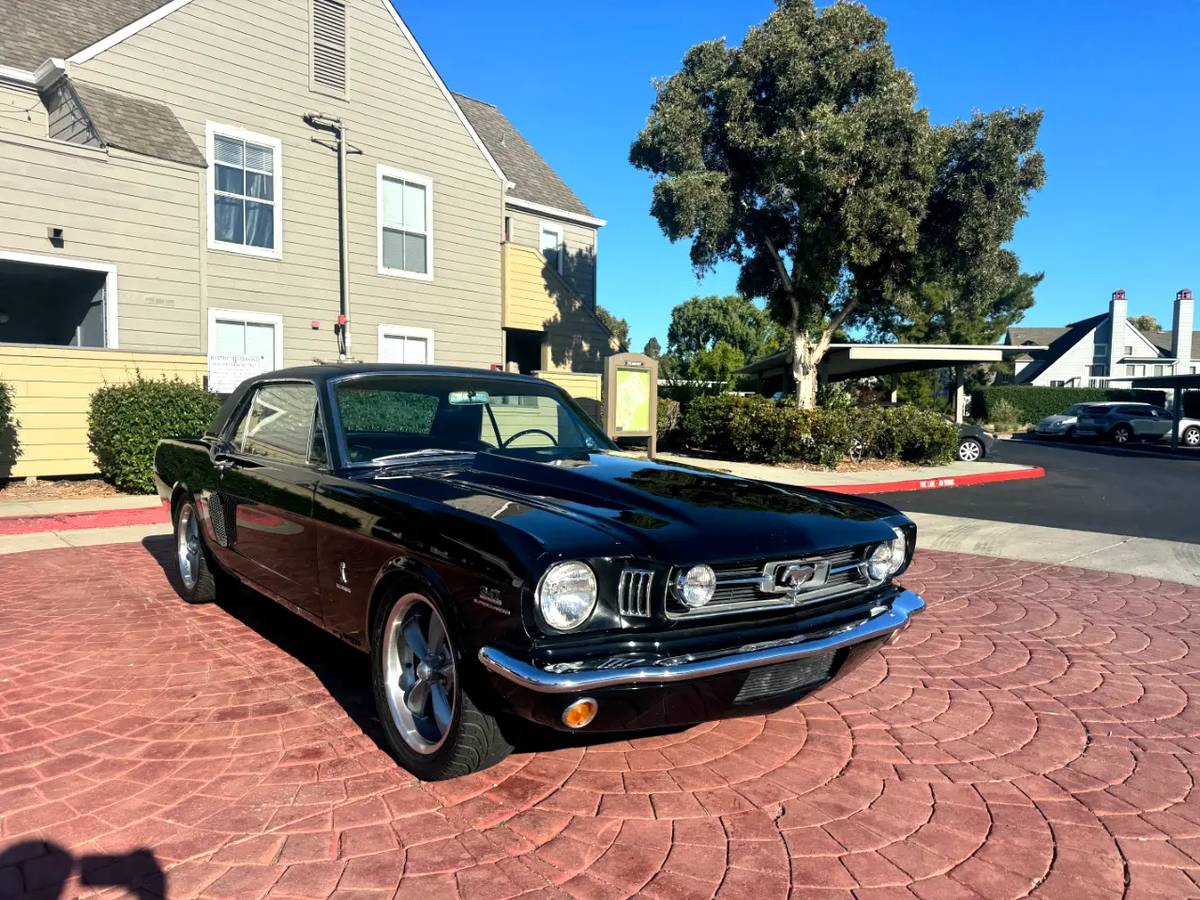 Ford-mustang-gt-350-shelby-clone-1965-black-10