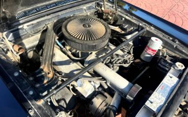 Ford-mustang-gt-350-shelby-clone-1965-black-12