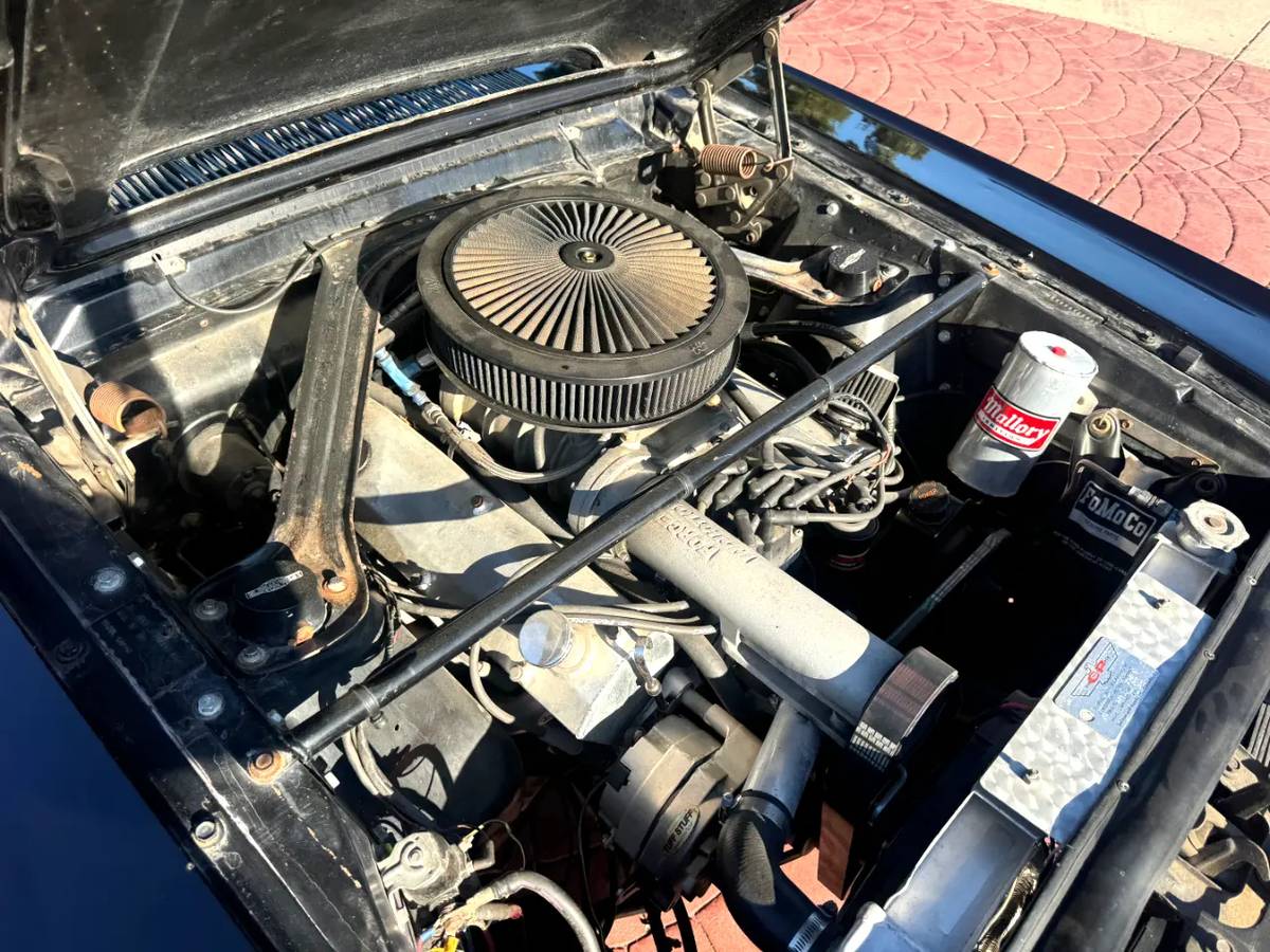Ford-mustang-gt-350-shelby-clone-1965-black-12