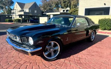 Ford-mustang-gt-350-shelby-clone-1965-black-20