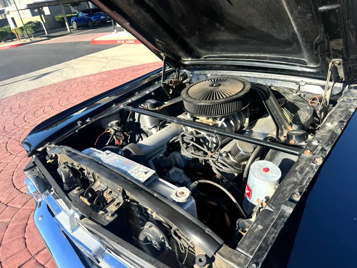 Ford-mustang-gt-350-shelby-clone-1965-black-4