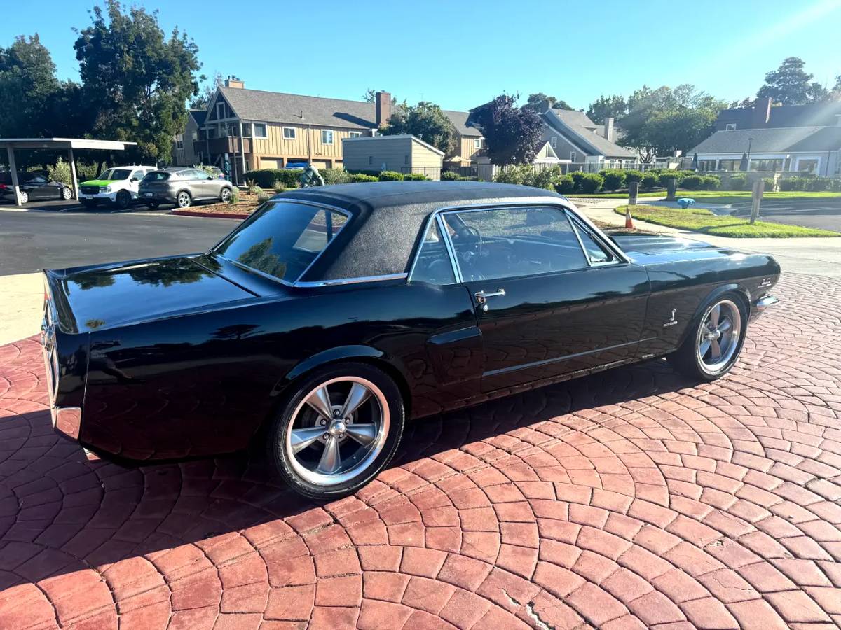 Ford-mustang-gt-350-shelby-clone-1965-black-8