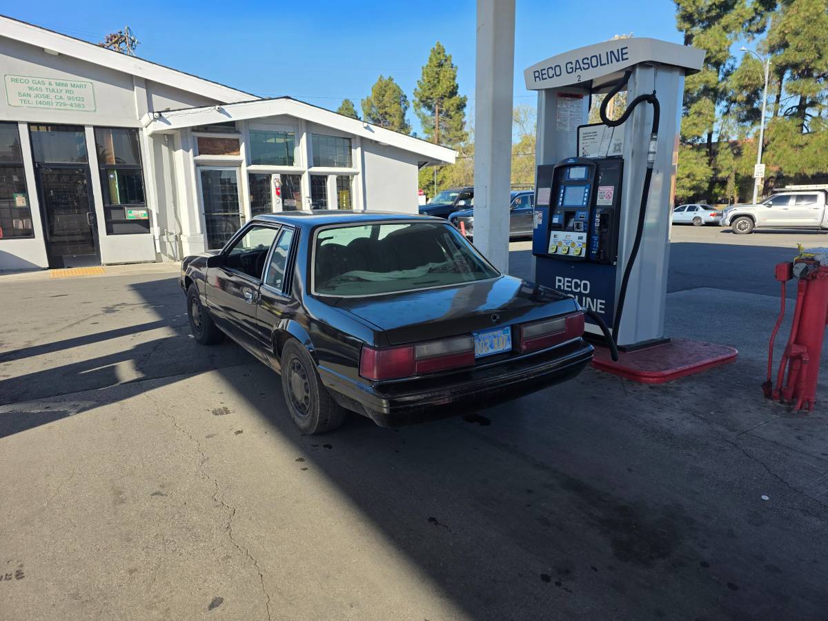 Ford-mustang-gt-coupe-1979-5