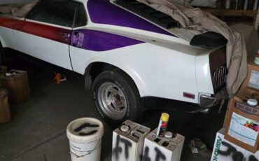 Ford-mustang-mach-1-1969-custom-1