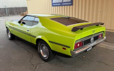 Ford-mustang-mach-1-1971-green-10