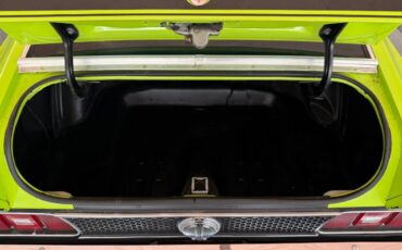 Ford-mustang-mach-1-1971-green-11